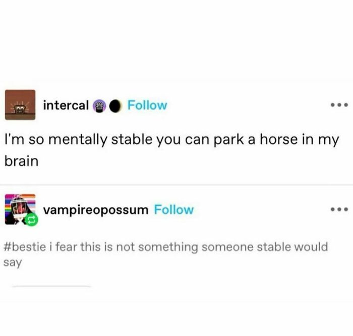 Mentally stable meme with humorous text about parking a horse in the brain, followed by a witty reply questioning stability.