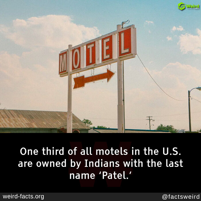 Vintage motel sign and fun fact about motel ownership in the U.S. with SEO keyword fun facts included.