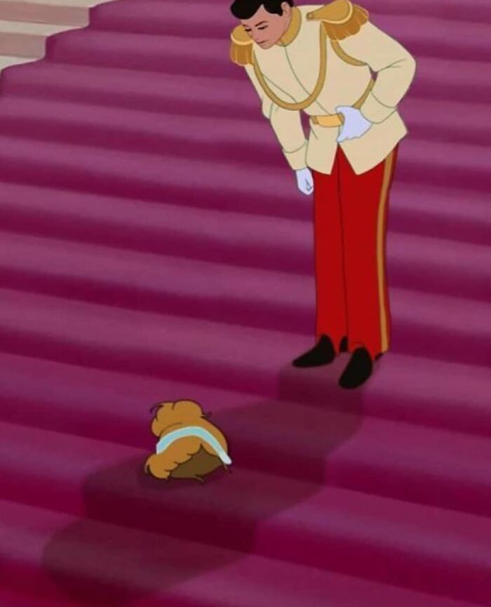 Johnny R Campoptomist