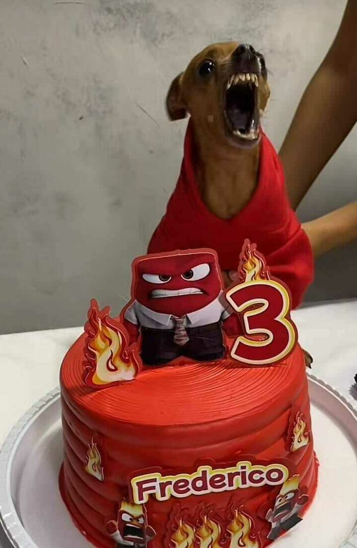 Michael Paulsen-Forster