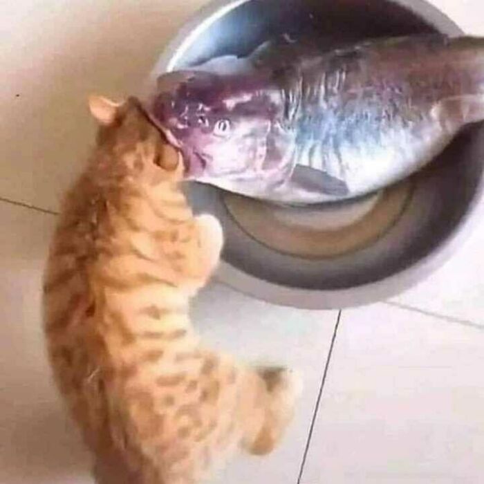 Keziah Morales Camitan