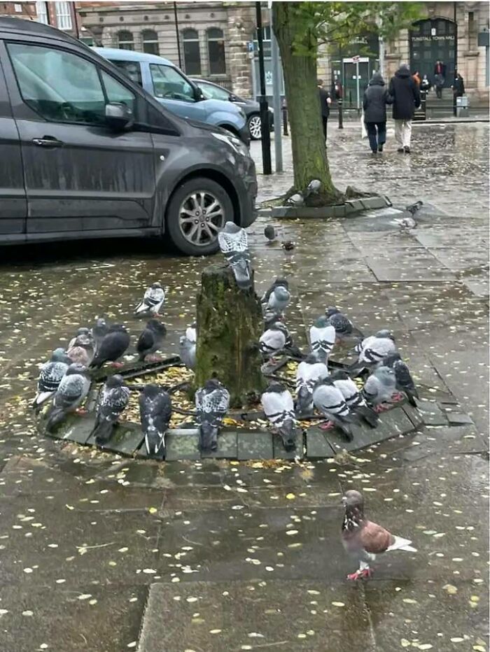 Satrian Kresna Nouvaldhy