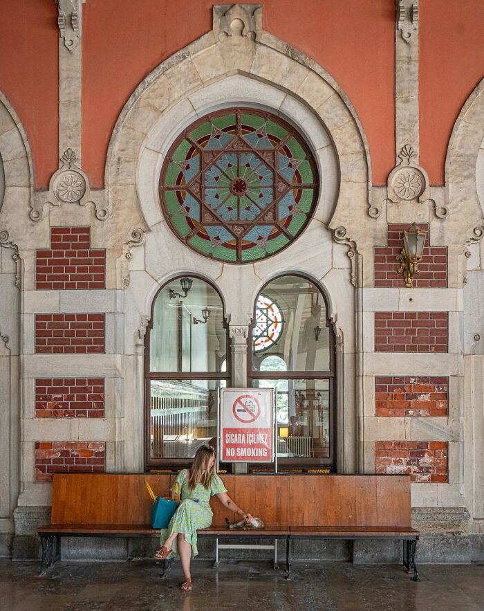 City Cats Of Istanbul By Marcel Heijnen