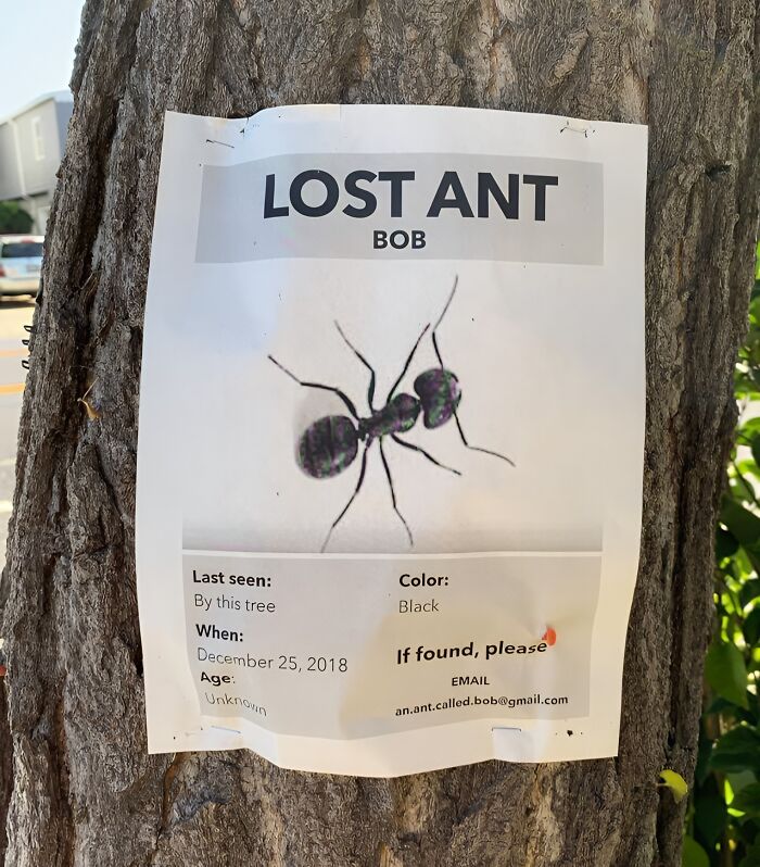 Signs-Funny-Pictures