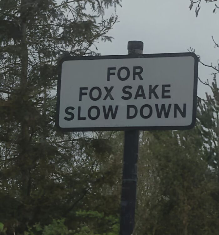 Signs-Funny-Pictures