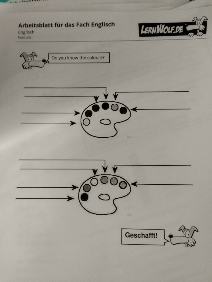 Found That In My School