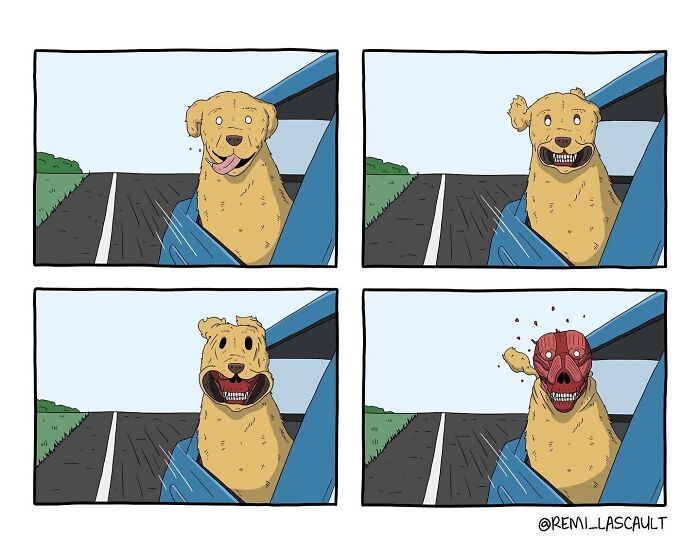 24 Twisted Comics For People With A Dark Sense Of Humor By Rémi Lascault (Animals Edition)