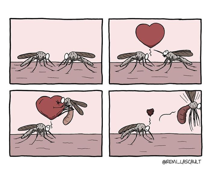 Comic strip by Rémi Lascault showing mosquitoes with a sharp, dark, and bizarre twist in their interaction.
