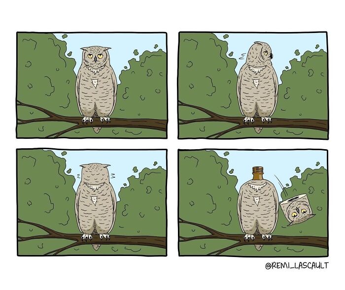 Four-panel comic showing an owl on a branch that turns bizarre and dark as its head detaches like a bottle cap.
