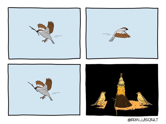 Comic panels showing a bird flying then revealed as a dark, bizarre scene featuring two birds and a figure in flames.