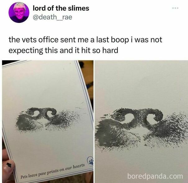 Dog owner's card with paw prints and sentimental message, "Pets leave paw prints on our hearts."