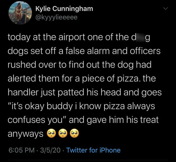 Dog meme about a dog setting off an airport alarm for pizza and receiving a treat from the handler.