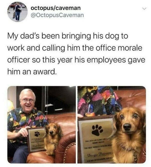 Man with a dog receiving an award for office morale, highlighting funny dog owners' experiences.