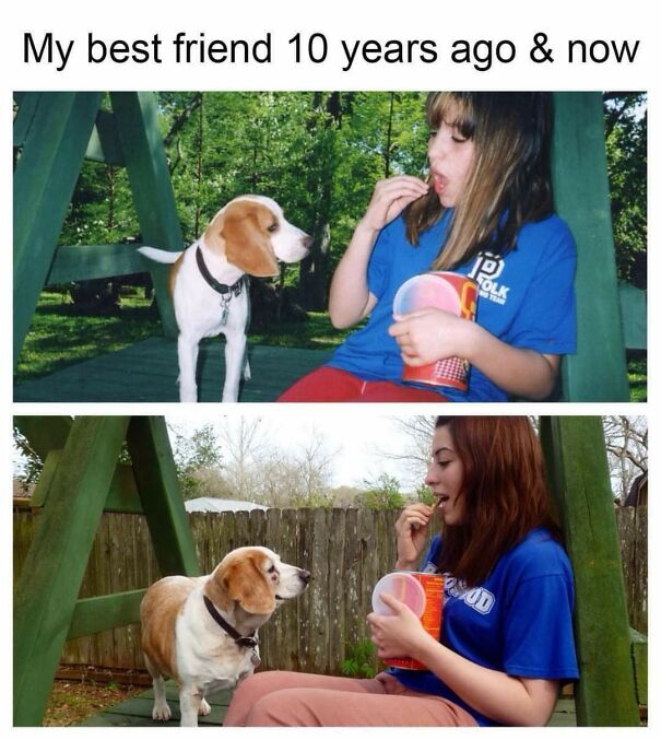 A girl shares snacks with her dog on a swing in before and after photos, highlighting funny, relatable dog owner moments.