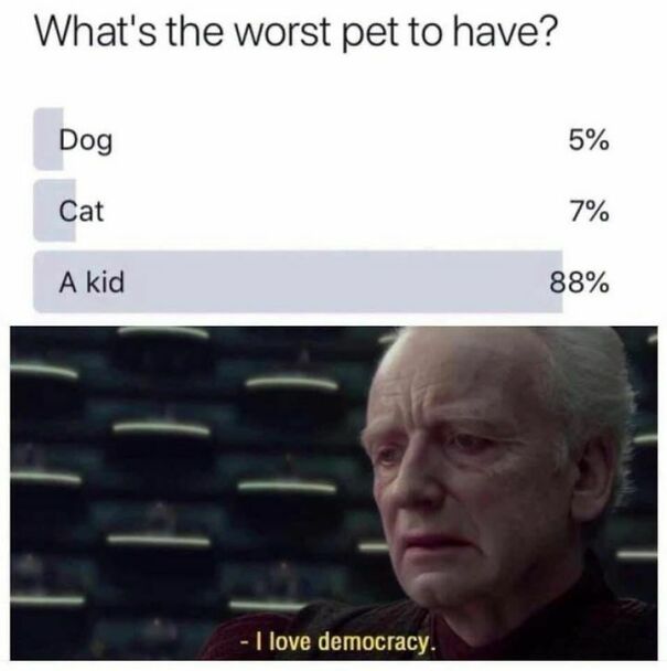 Poll results meme showing "A kid" as the worst pet, with a character saying, "I love democracy." Dog owners may find this funny.