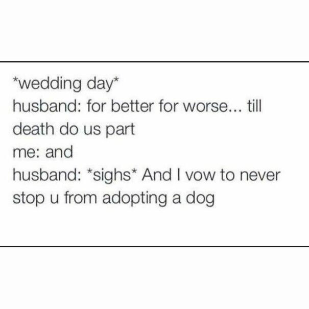 Wedding humor meme about dog adoption vows for dog owners.