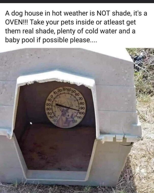 Dog house with thermometer indicating high temperature, highlighting an important message for dog owners.