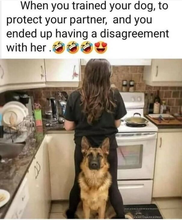 Dog sitting between a woman's legs in the kitchen with a relatable funny meme above.