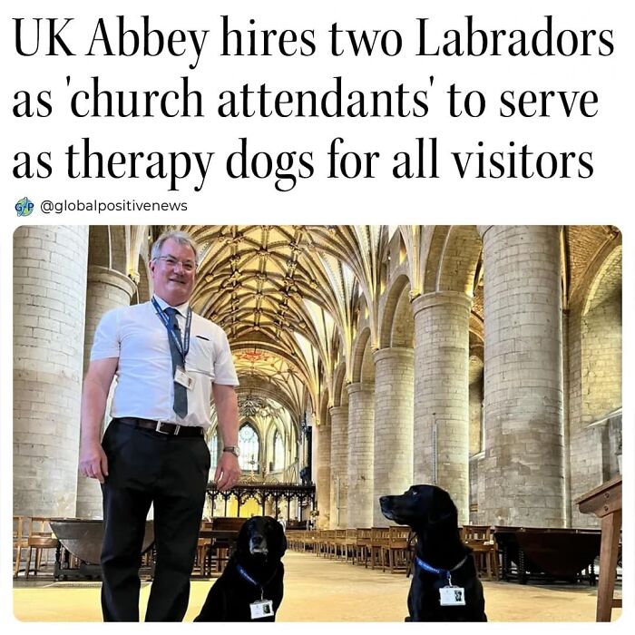 Man with two Labradors in a UK abbey, serving as therapy dogs, promoting faith in humanity with positive news.