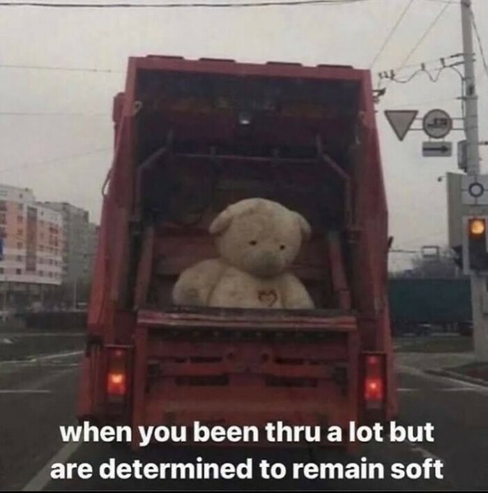 Teddy bear inside a red garbage truck, representing hilariously relatable struggles with staying sane.