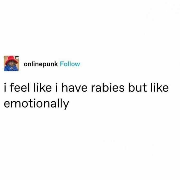 Emotional meme with text "I feel like I have rabies but like emotionally," highlighting mental struggles humorously.