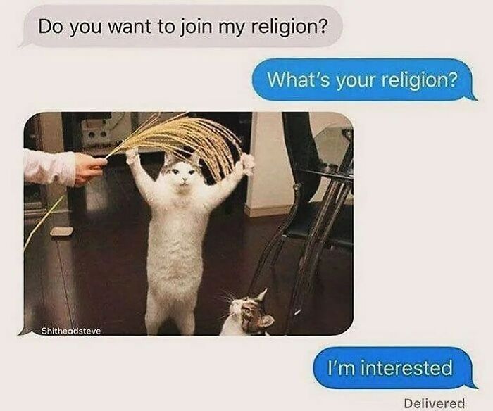 Cat humor in a chat exchange; two cats involved in a funny religion meme, one raising paws under grass.