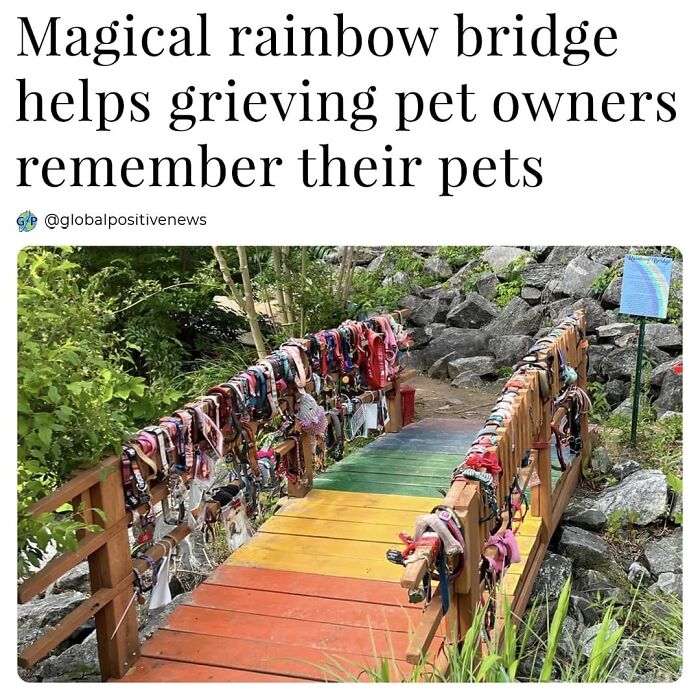 Rainbow bridge adorned with pet collars, offering a comforting spot for grieving pet owners.