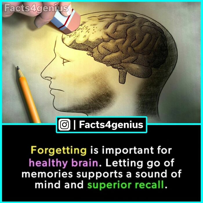 Illustration of brain being erased, highlighting interesting-facts-for-genius about memory and mental health.