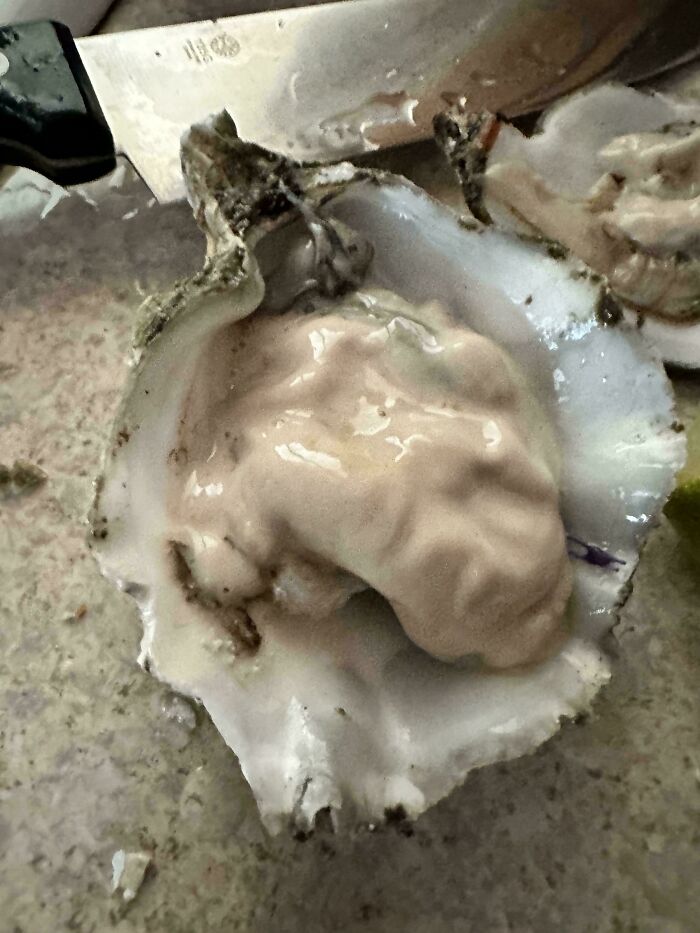 Haven’t Had Oysters In Years. Finally Decided To Buy Some, And They’re All Spawning Oysters