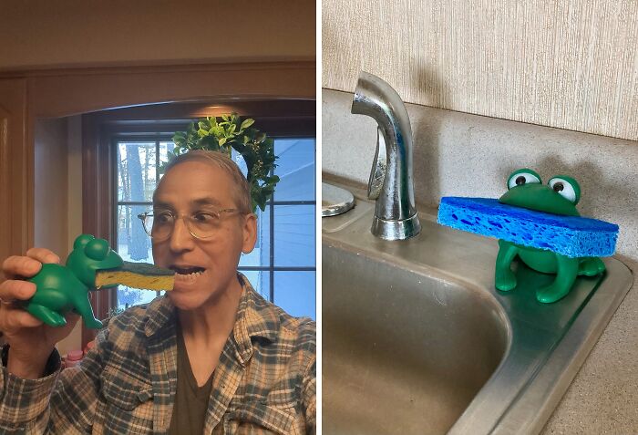 Finally, A Sponge Holder The Motivates You To Hop To Your Chores