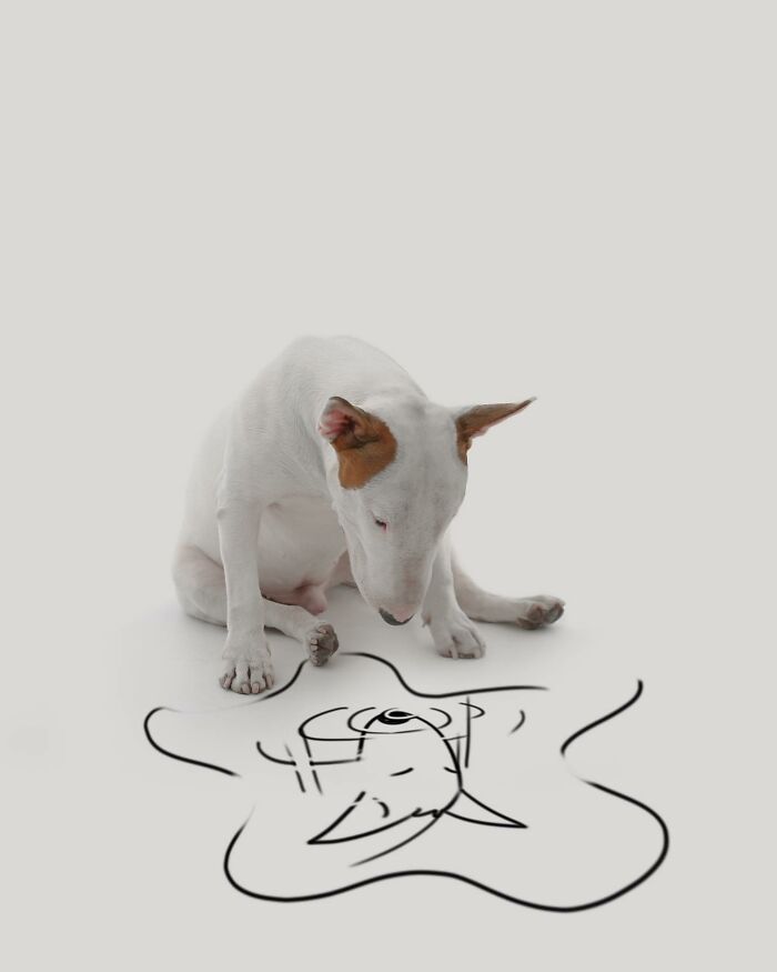 Guy Whose Wife Left Him With Nothing But A Dog Continues To Put Him In Fun Scenarios (47 New Pics)