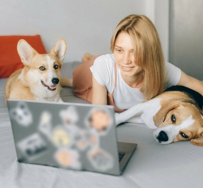 30 Internet Users Share Whether They Let Their Pets Sleep In Their Beds And Why