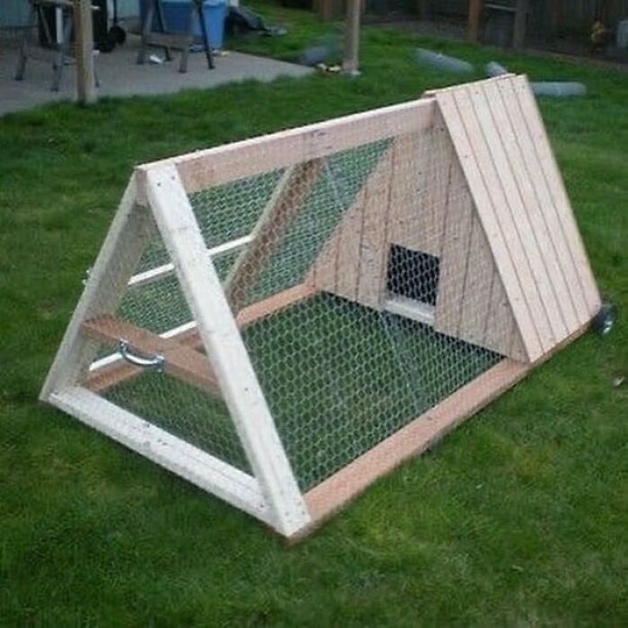Woodworker project featuring a handmade triangular wooden chicken coop with wire mesh on grass outdoors.