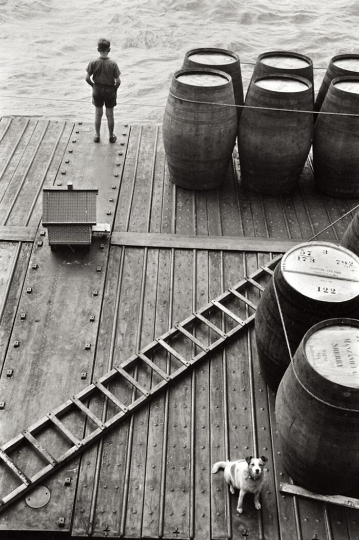 Boy standing on a dock with vintage wooden barrels and a dog, sharing historical and vintage photos atmosphere.