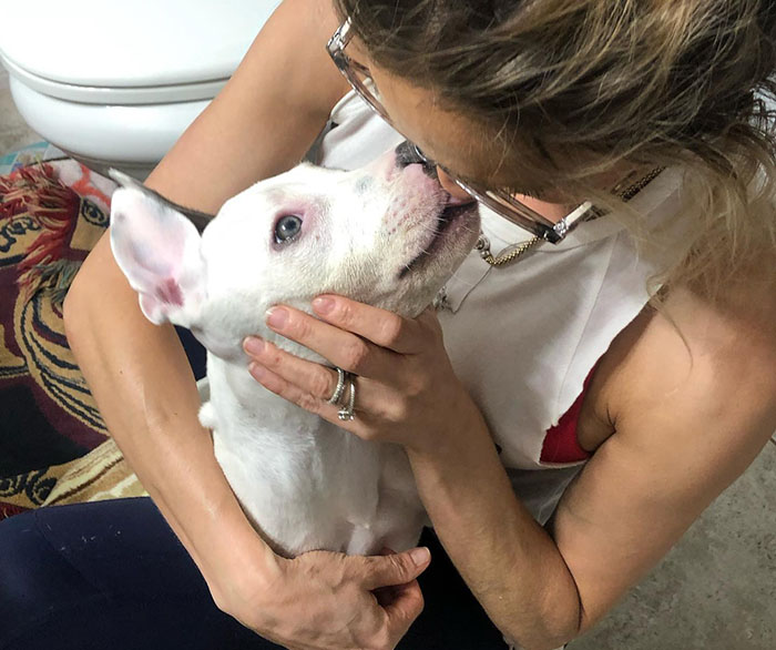 Puppy Is Frozen By Rare Disease, Recovers And Takes First Steps Despite Nobody Believing Puppy Is Frozen By Rare Disease, Recovers And Takes First Steps Despite Nobody Believing