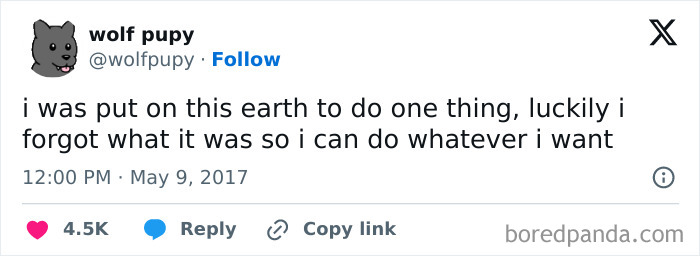 Have-Meme-To-Show-Funny-Pics