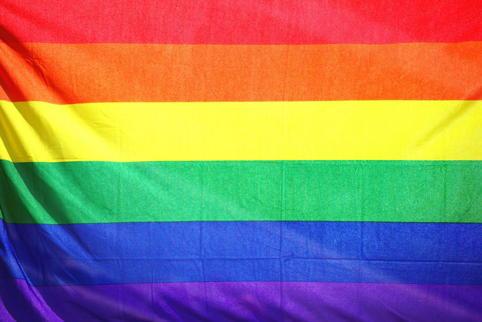 Rainbow pride flag with vibrant colors representing unity and diversity, symbolizing chilling truths hidden in plain sight.