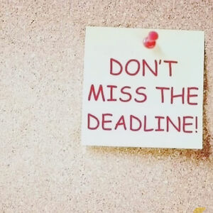 studypalwriters avatar