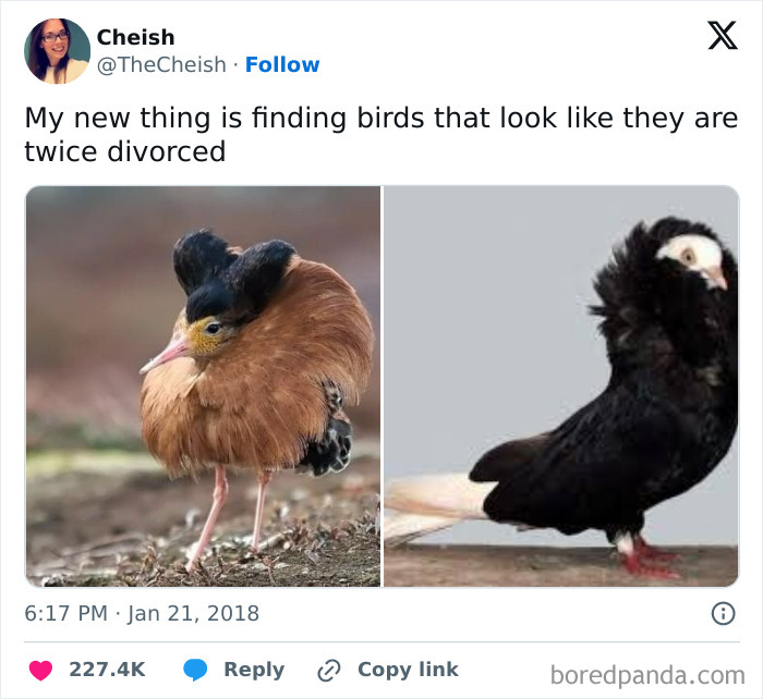 Funny-Random-Memes-Thehilarious-Ted