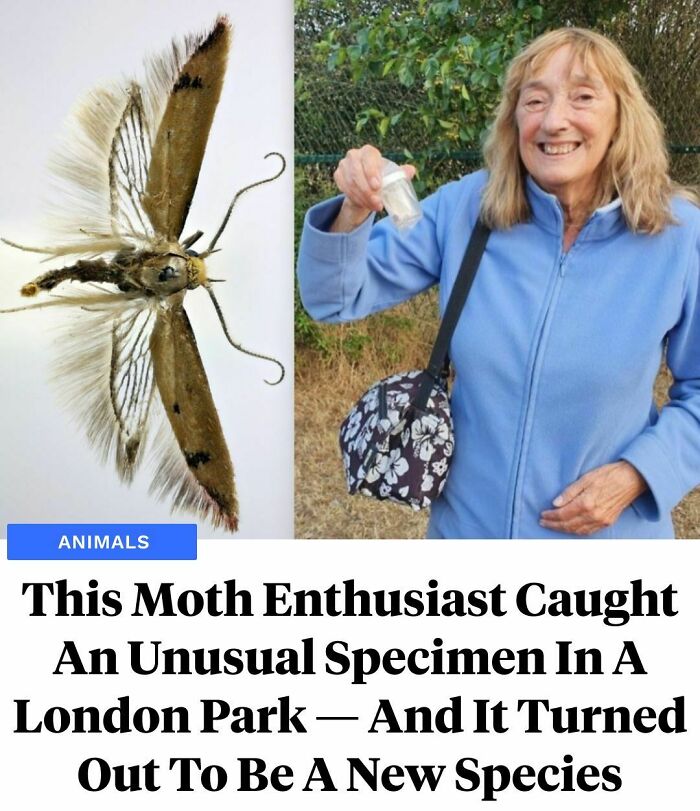 Curious-Interesting-Facts