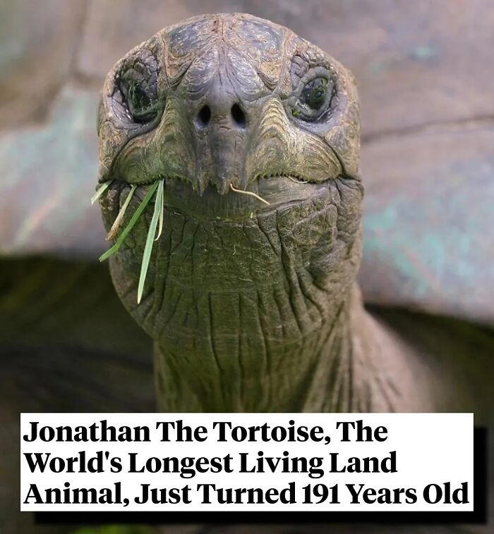 Curious-Interesting-Facts