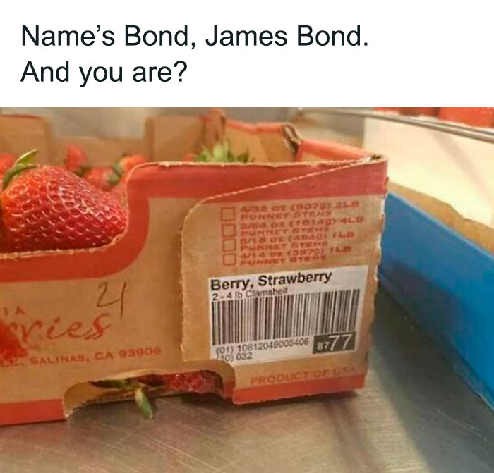 Funny-Smart-Random-Jokes