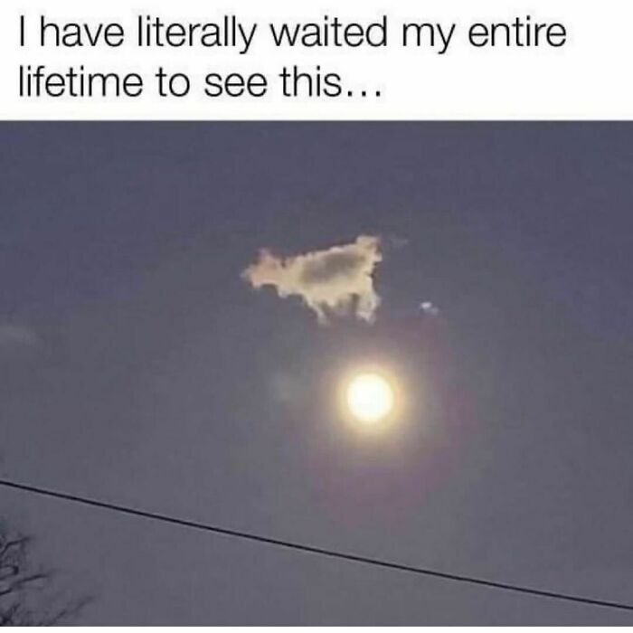 Funny-Random-Memes-Thehilarious-Ted