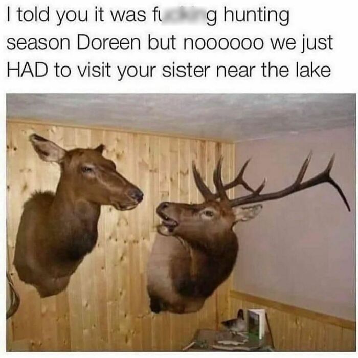 Funny-Random-Memes-Thehilarious-Ted