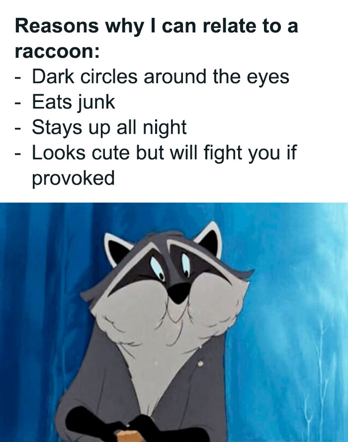 Funny work meme showing a raccoon with relatable traits like dark circles, junk food, and staying up all night.