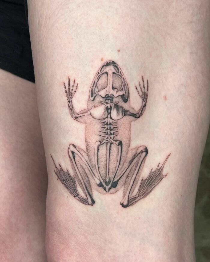 Frog tattoo showing skeletal design on skin.