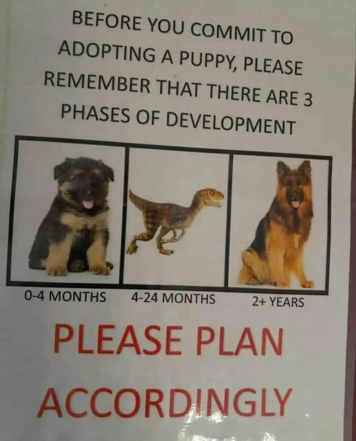 Funny-Random-Memes-Thehilarious-Ted