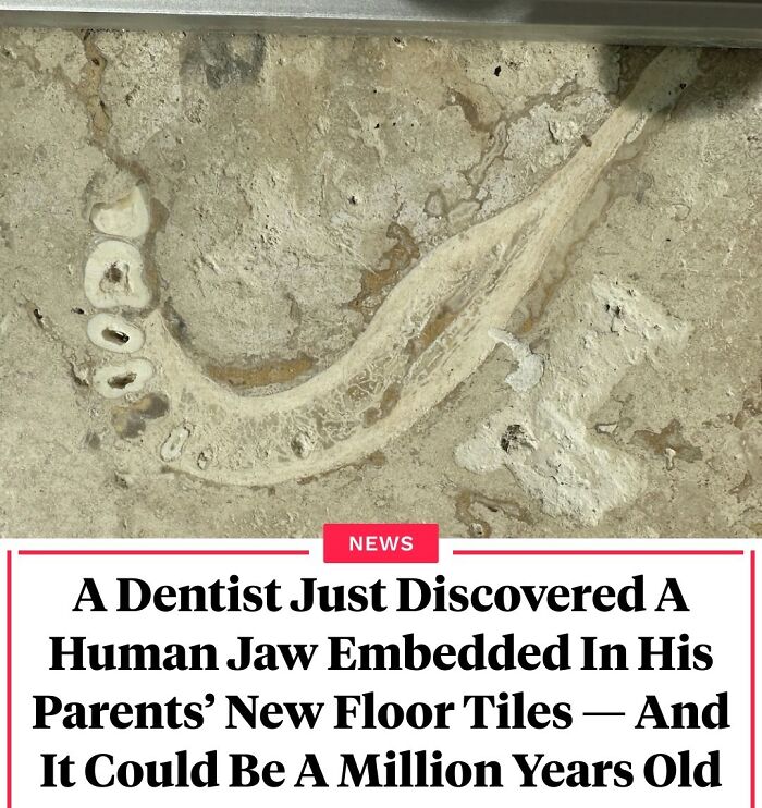 Curious-Interesting-Facts