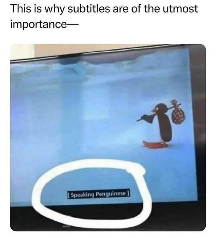 Funny-Random-Memes-Thehilarious-Ted