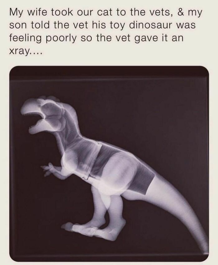 Funny-Random-Memes-Thehilarious-Ted